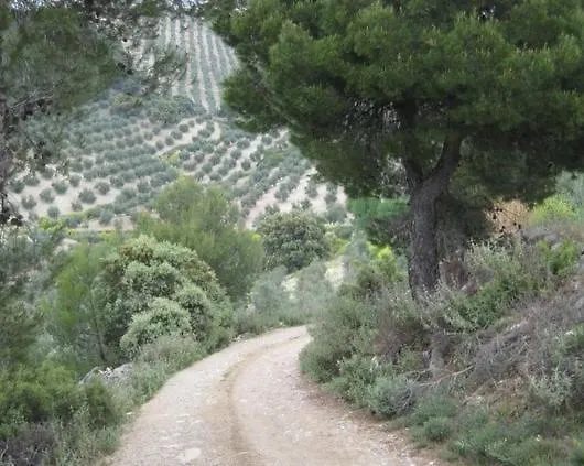 El Mirador De Pablo, Casa Con Patio Privado Villa Alomartes Spain